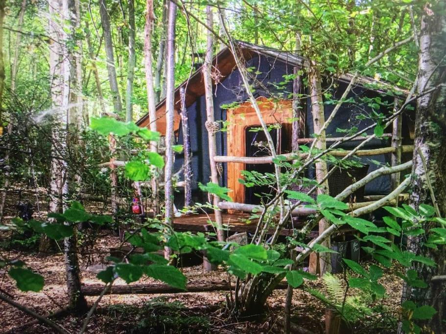 Cosy Woodland Romantic Retreat With Log Fires And Nature Sturry Kültér fotó