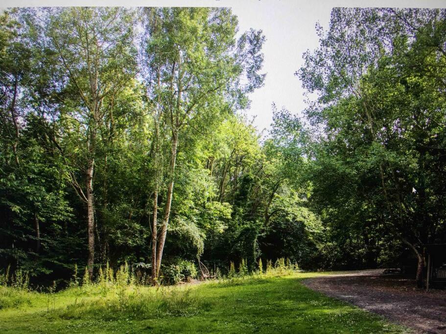 Cosy Woodland Romantic Retreat With Log Fires And Nature Sturry Kültér fotó