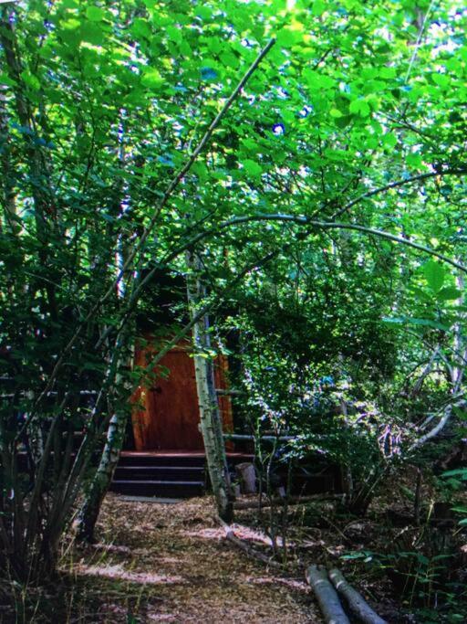 Cosy Woodland Romantic Retreat With Log Fires And Nature Sturry Kültér fotó