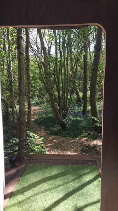 Cosy Woodland Romantic Retreat With Log Fires And Nature Sturry Kültér fotó