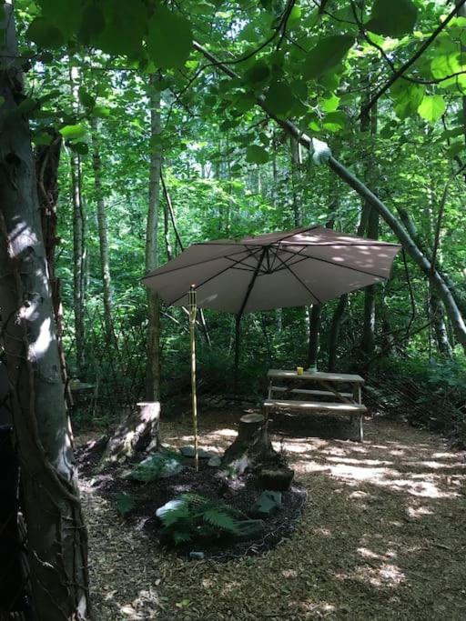 Cosy Woodland Romantic Retreat With Log Fires And Nature Sturry Kültér fotó