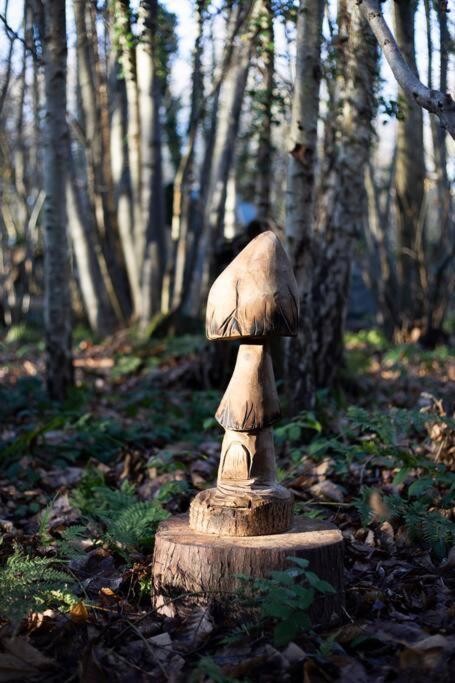 Cosy Woodland Romantic Retreat With Log Fires And Nature Sturry Kültér fotó