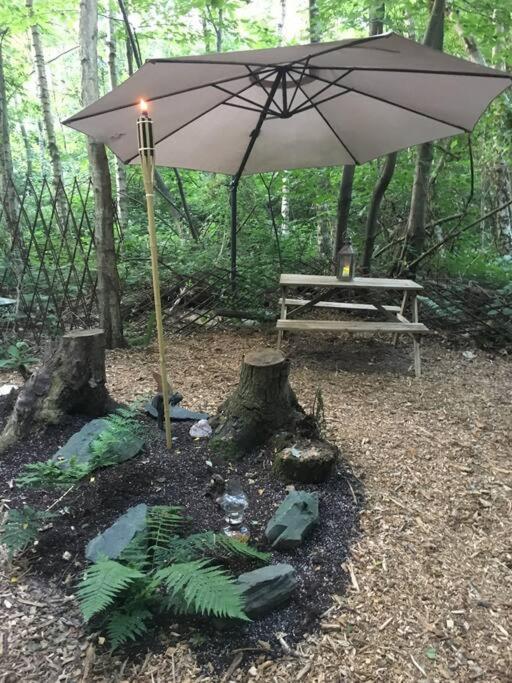 Cosy Woodland Romantic Retreat With Log Fires And Nature Sturry Kültér fotó