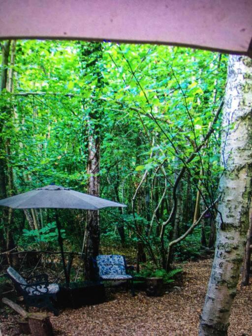 Cosy Woodland Romantic Retreat With Log Fires And Nature Sturry Kültér fotó