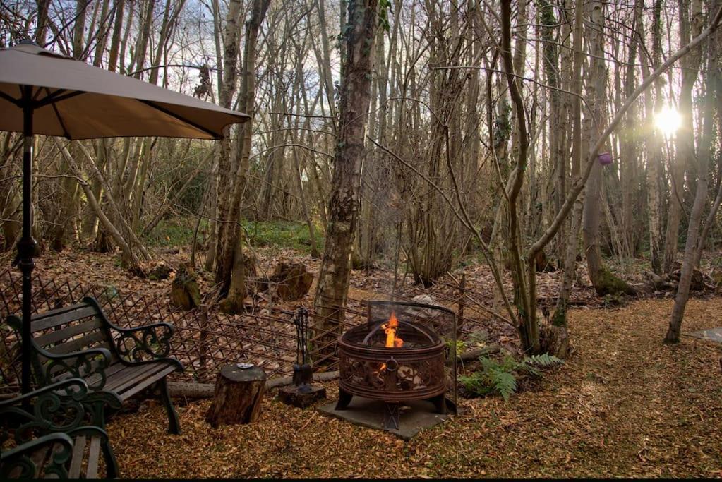 Cosy Woodland Romantic Retreat With Log Fires And Nature Sturry Kültér fotó